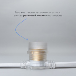 Белт-Лайт Laitcom BL10m/25L-8-P