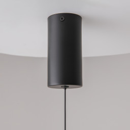 Подвесной светильник Maytoni Technical P022PL-L10B