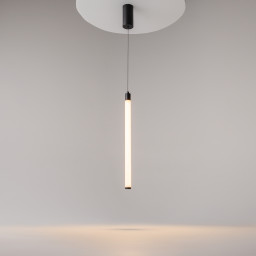 Подвесной светильник Maytoni Technical P022PL-L10B