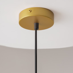 Подвесной светильник Maytoni P361PL-01G