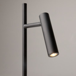 Торшер Maytoni Z010FL-L8B3K