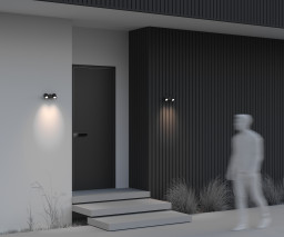 Светильник настенный Maytoni O010WL-02B