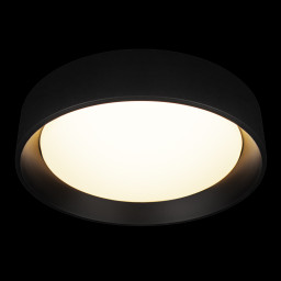 Накладной светильник LOFT IT 10202 BB