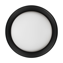 Накладной светильник LOFT IT 10202 BB