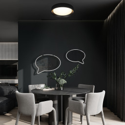 Накладной светильник LOFT IT 10202 BB