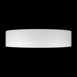 Накладной светильник LOFT IT 10202 WB