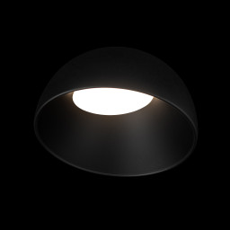 Накладной светильник LOFT IT 10197/350 BB