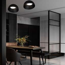 Накладной светильник LOFT IT 10197/350 BB