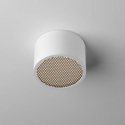 Влагозащищенный светильник Maytoni Technical C122CL-GX53-W