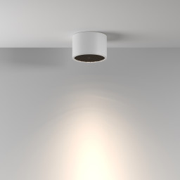 Влагозащищенный светильник Maytoni Technical C122CL-GX53-W
