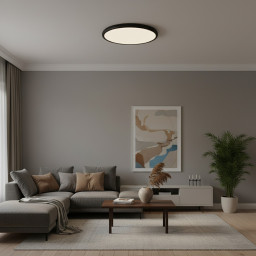 Накладной светильник LOFT IT 10454/500 Black