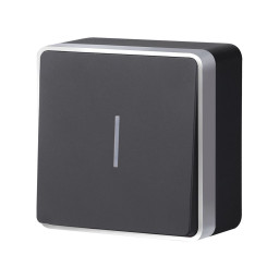 Выключатель Werkel W5010134 черный с серебром