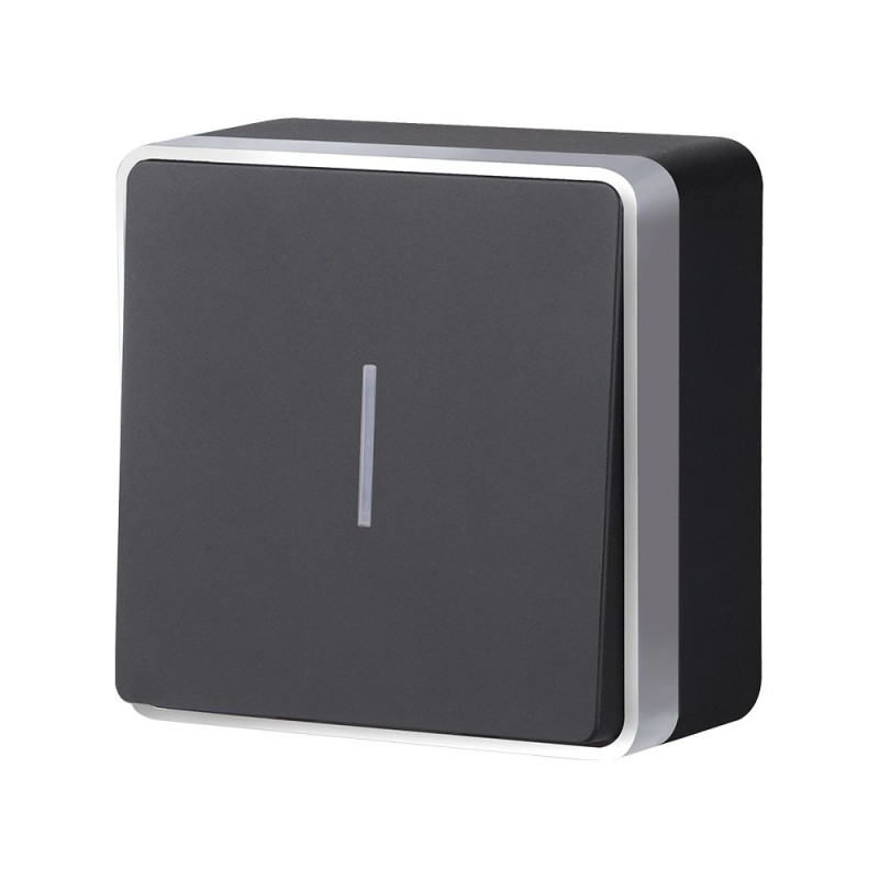 Выключатель Werkel W5010134 черный с серебром 552₽
