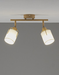 Спот Moderli V11854-2C