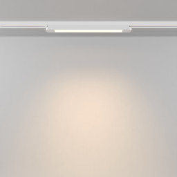 Светильник на шине Maytoni TR000-1-12W3K-W_1