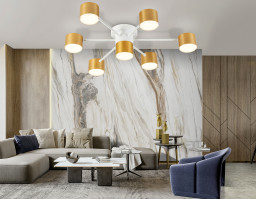 Накладной светильник Ambrella Light FL51725