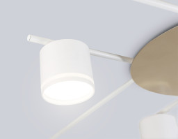 Накладной светильник Ambrella Light FL51759