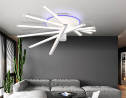 Накладной светильник Ambrella Light FL6231