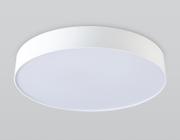 Накладной светильник Ambrella Light FZ1355