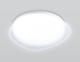 Накладной светильник Ambrella Light FZ1601