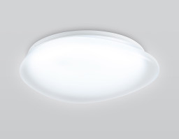 Накладной светильник Ambrella Light FZ1601