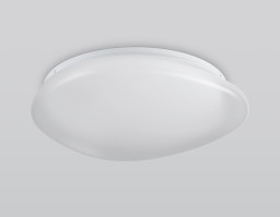 Накладной светильник Ambrella Light FZ1601