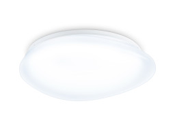 Накладной светильник Ambrella Light FZ1601