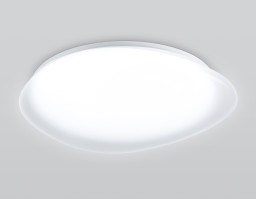 Накладной светильник Ambrella Light FZ1605