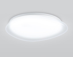 Накладной светильник Ambrella Light FZ1605