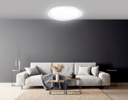 Накладной светильник Ambrella Light FZ1605