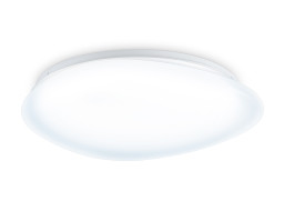 Накладной светильник Ambrella Light FZ1605