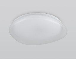 Накладной светильник Ambrella Light FZ1610