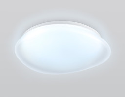 Накладной светильник Ambrella Light FZ1610