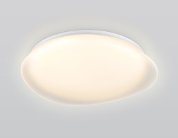 Накладной светильник Ambrella Light FZ1610