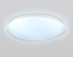 Накладной светильник Ambrella Light FZ1615