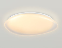 Накладной светильник Ambrella Light FZ1615