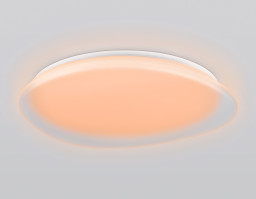 Накладной светильник Ambrella Light FZ1615