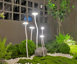Product Gallery Image