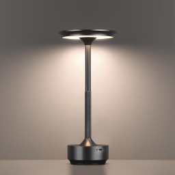 Настольная лампа Odeon Light 5034/6TL