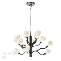 Подвесная люстра Odeon Light 5090/15