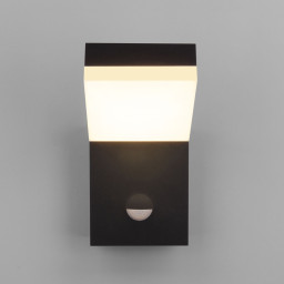 Светильник настенный Elektrostandard 1541 3000K Чёрный