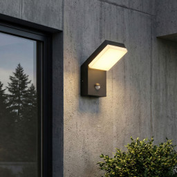 Светильник настенный Elektrostandard 1541 3000K Чёрный