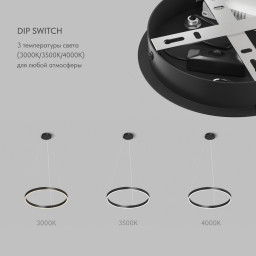 Подвесной светильник Denkirs DK6272-BK