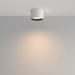Влагозащищенный светильник Maytoni Technical C127CL-L7W3K-W