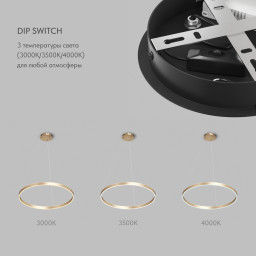 Подвесной светильник Denkirs DK6273-SG