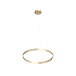 Подвесной светильник Denkirs DK6273-SG