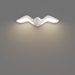 Product Gallery Image