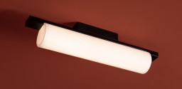 Накладной светильник Freya FR5625CL-L20B