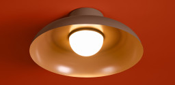 Накладной светильник Freya FR5602CL-L10BR