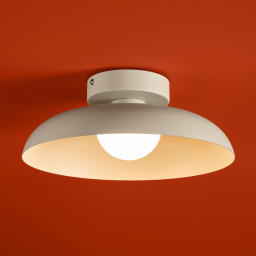 Накладной светильник Freya FR5602CL-L10W